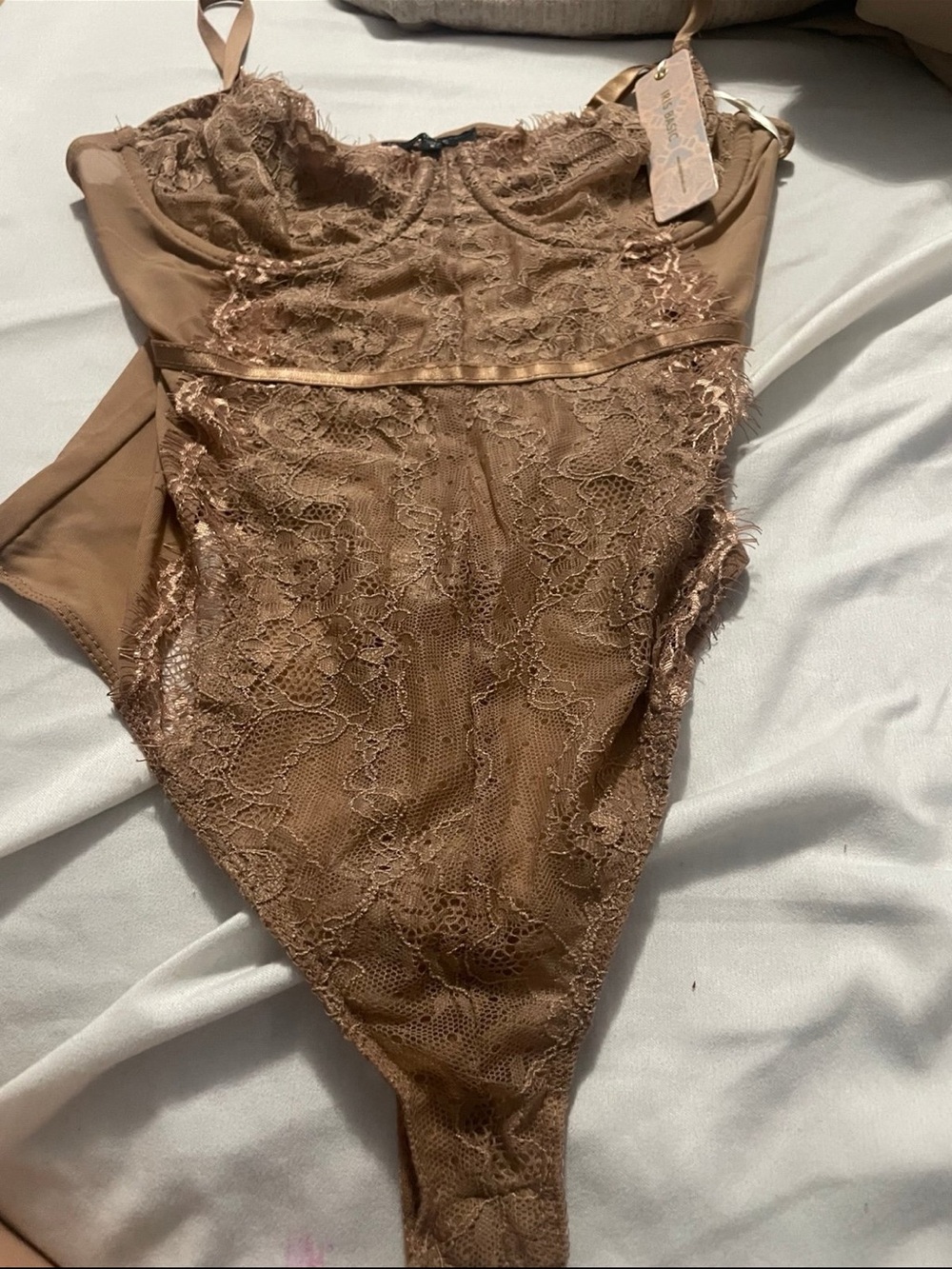 Lace-Front Sheer Bodysuit in Taupe
